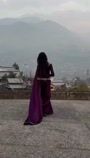 Plum Saree for Women
