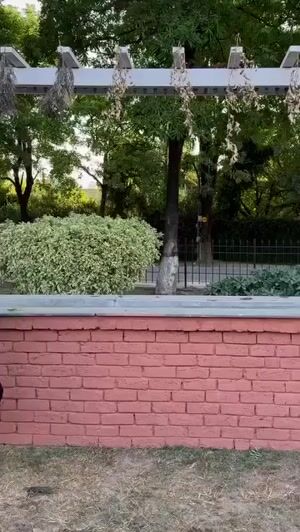 Black Kurta Set for Women