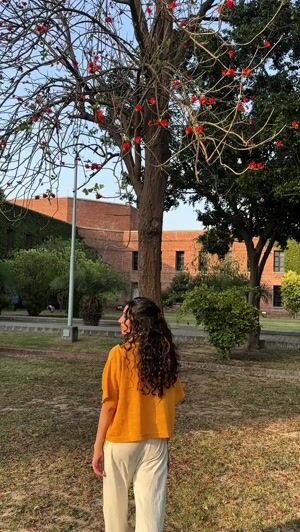 Mustard Formal Shirt for Women