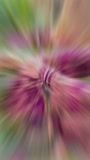 Purple Maxi for Women