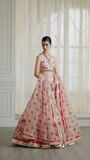 Pink Sharara for Women