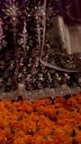 Plum Lehenga for Women