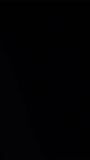 Black T Shirt for Men