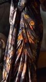 Multi Saree for Women