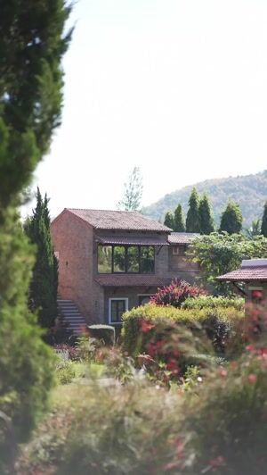 Beige Unstitched for Women