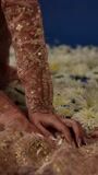 Beige Kurta Set for Women