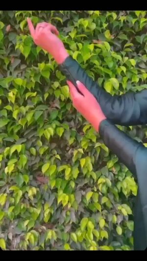Bottle green Saree for Women