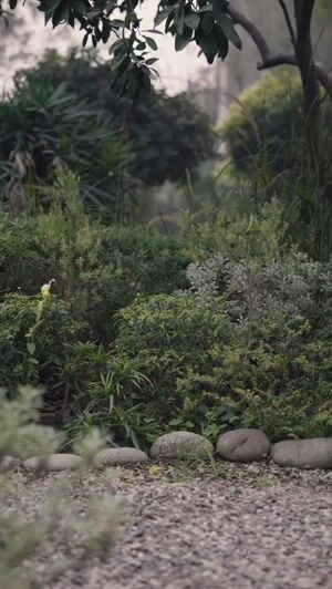 Pink Kurta Set for Women