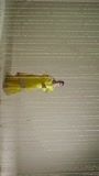 Yellow Gharara for Women