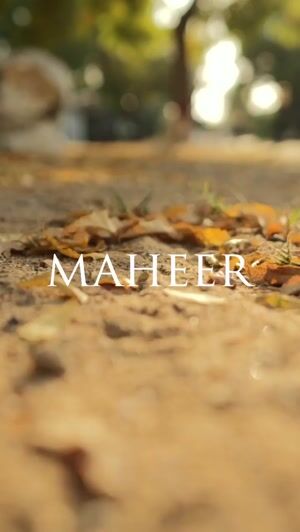 Purple Kurta Set for Women