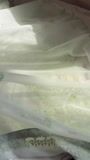 Pistachio green Gharara for Women
