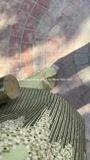 Olive green Co Ord Sets for Women
