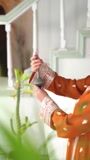Amber Unstitched for Women