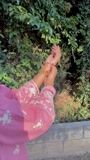 Blush pink Kurta Set for Women
