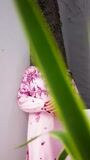 Pink Co Ord Sets for Women
