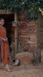 Mustard Kurta Set for Women