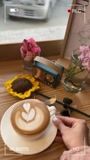 Coffee brown Dress for Women
